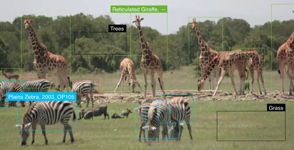 AI Eyes in the Wild: How Artificial Intelligence is Revolutionizing Wildlife Monitoring